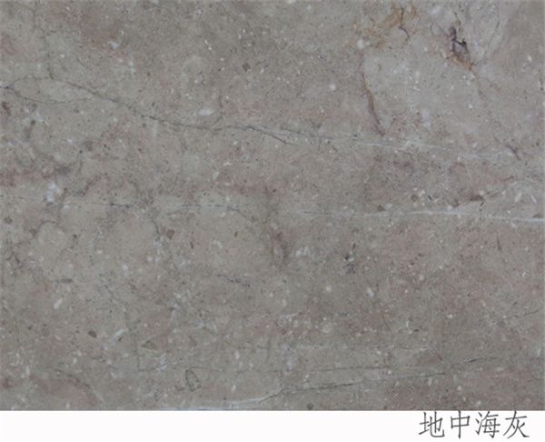 地中?；?/>
                              </div> 
                              <p class=